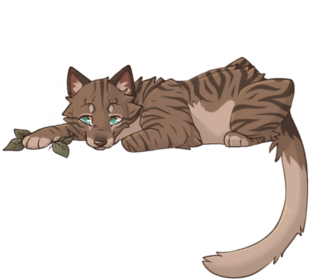 Medicine cat code - Warrior Cats